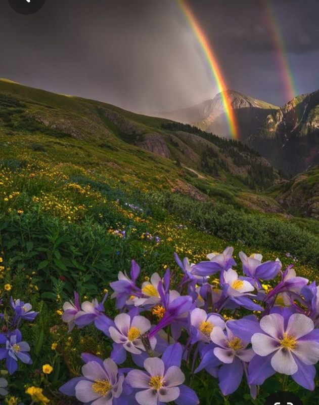 Screenshot_20240512_184631_Pinterest