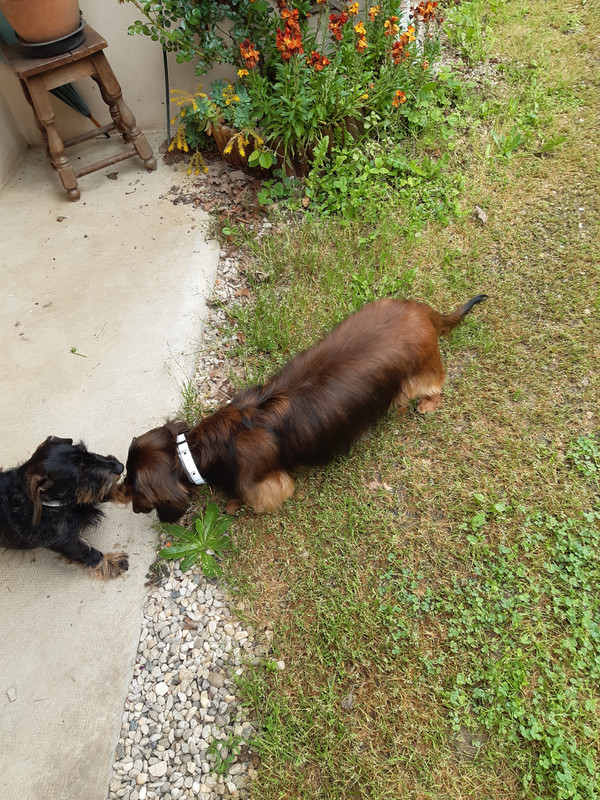 [Image: 20230509-113501.jpg]