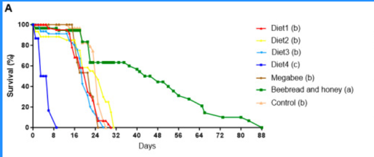 Snímka obrazovky 2026 02 05 085354