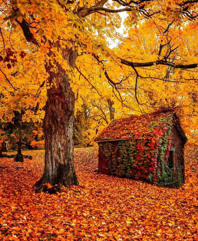 Screenshot_20231206_215542_Instagram