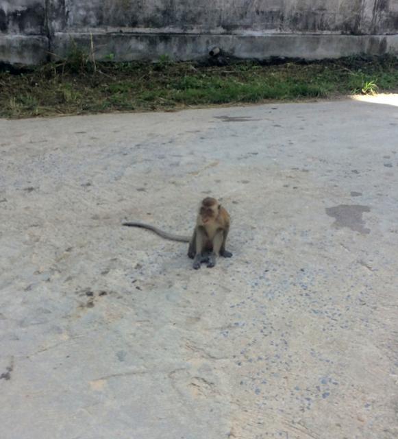 Nuestra primera vez en el Sudeste Asiático. Tailandia en Junio de 2018 - Blogs de Tailandia - Llegada a Railay (6)