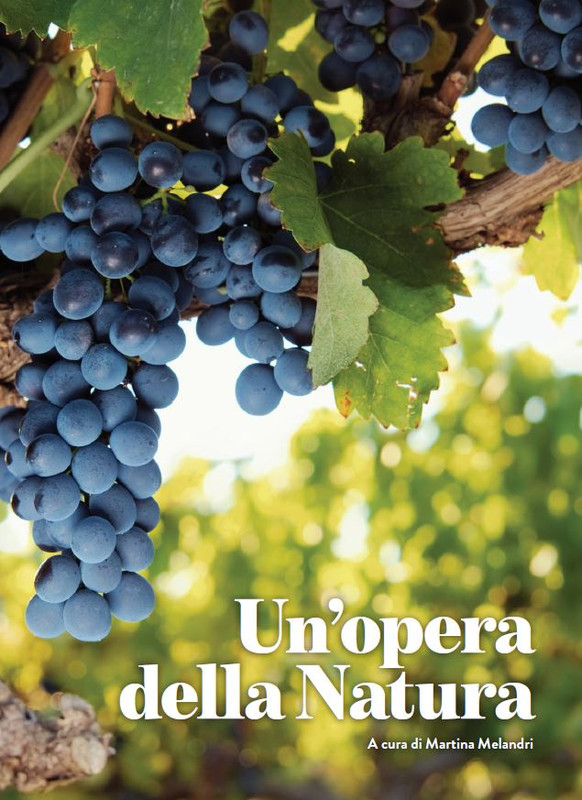 melaverde Feb 2022 (12)