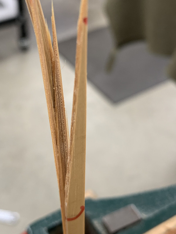 FDD952FB-117F-49D6-91FD-B4A0BC97948A