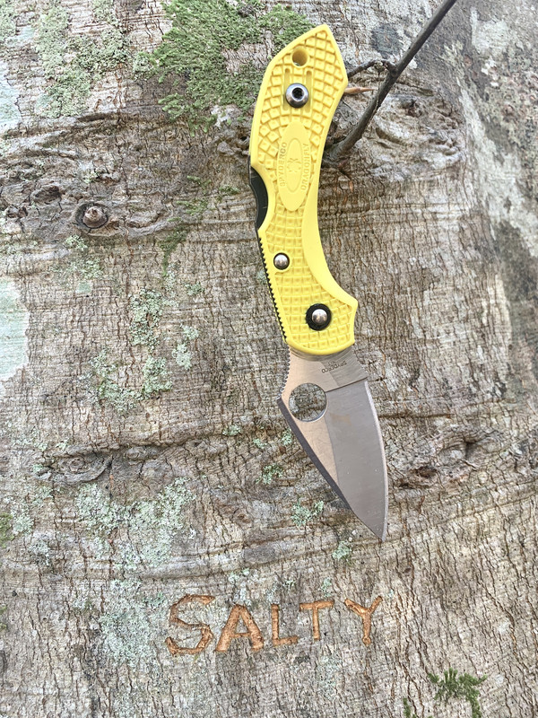 C4206239-278C-4658-9003-022A000D0C72