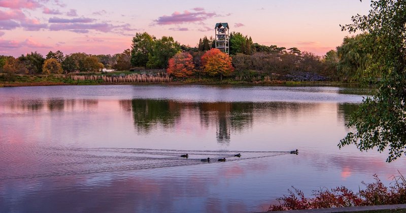 254616739-10159624798485699-1817154762843528024-n