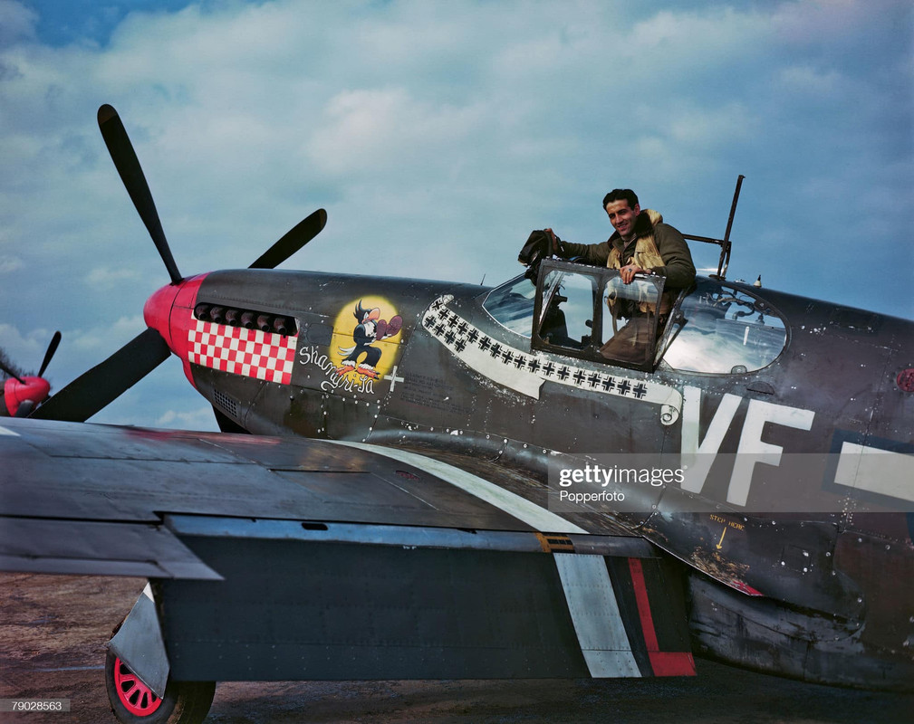 USAAF Leading ace of the Eighth Airforce, Pilot Captain Dominic Salvatore Gentile (1920-1951) of 336