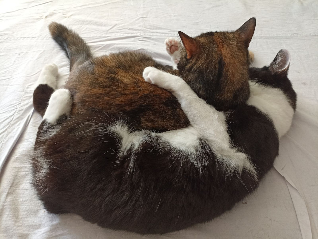 изображение_viber_2022-07-28_11-24-02-274