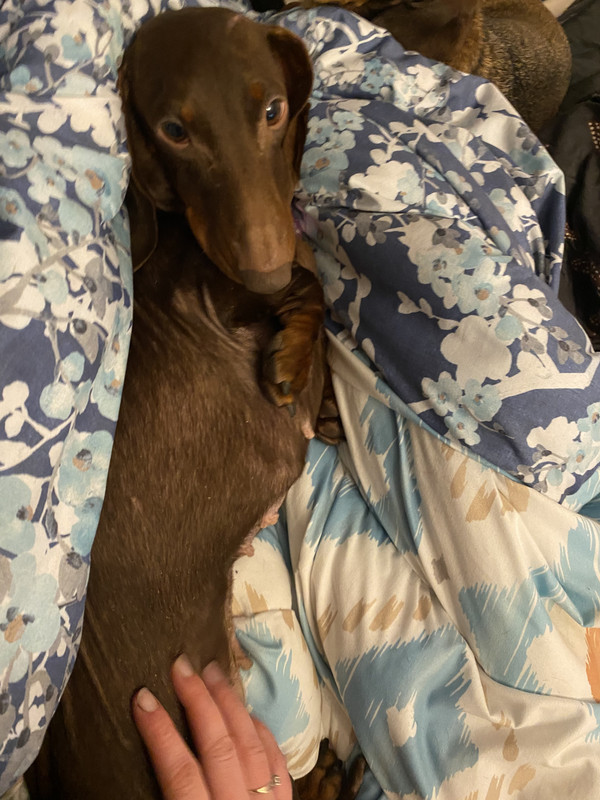 [Image: IMG-7044.jpg]