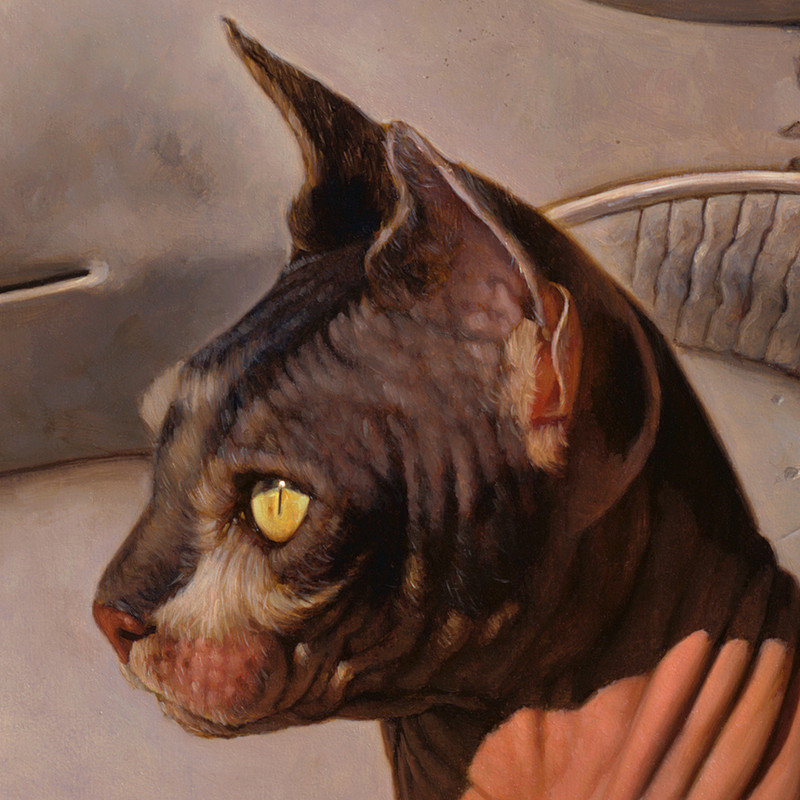 gallery-detail-dotcat