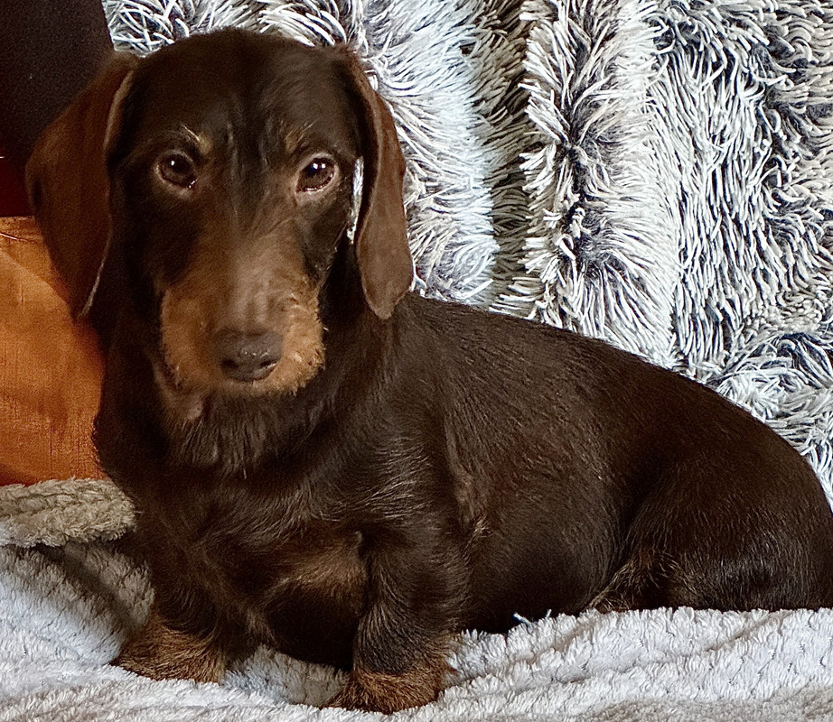 [Image: IMG-4876.jpg]