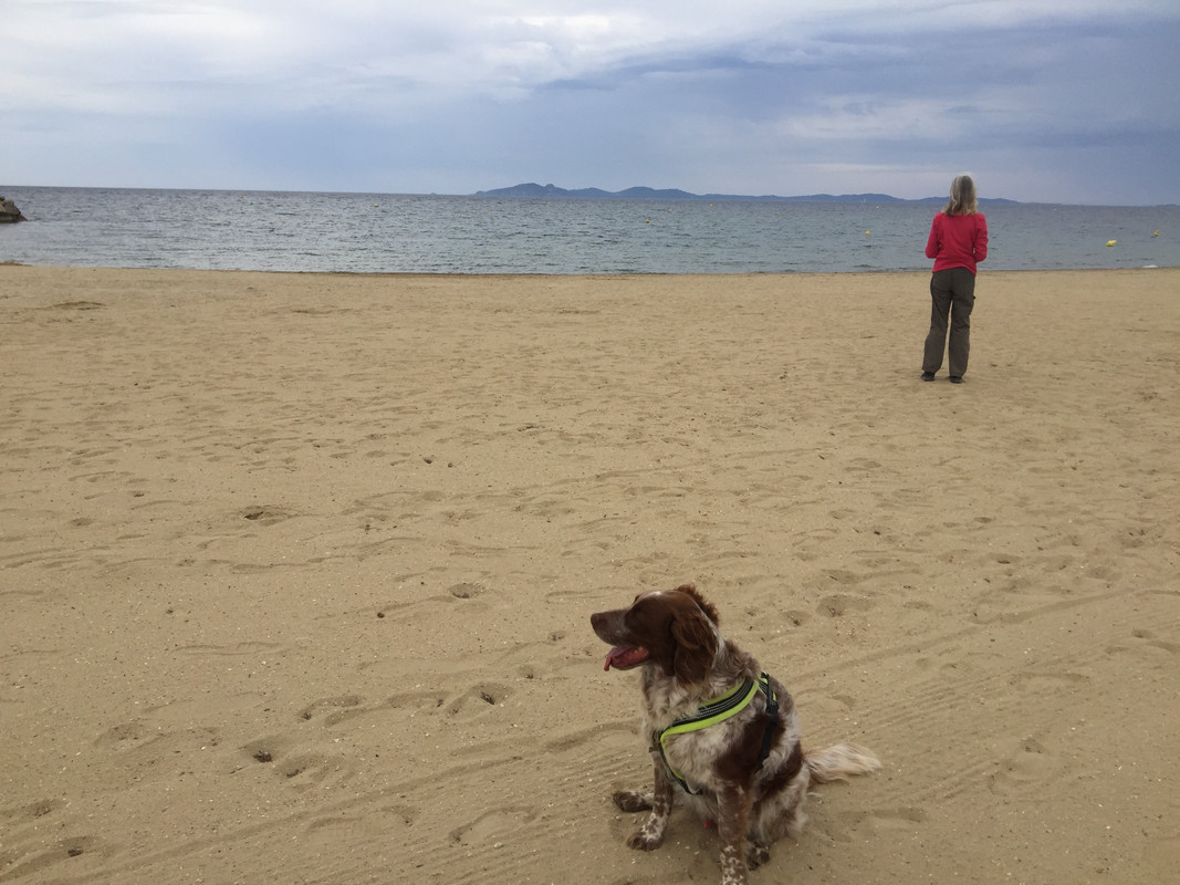 DD53E2F9-AE06-496E-A719-7CF6CF4E3BB8