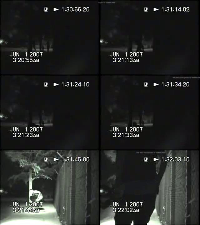 caught-peeing-3.jpg