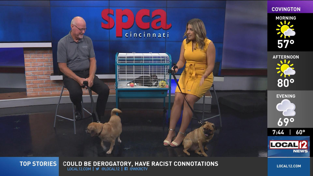 08.13 - 11.00.00 - Good Morning Cincinnati Saturday  ᴺᵉʷ. News covera....ts_snapshot_01.51.09_[2022.