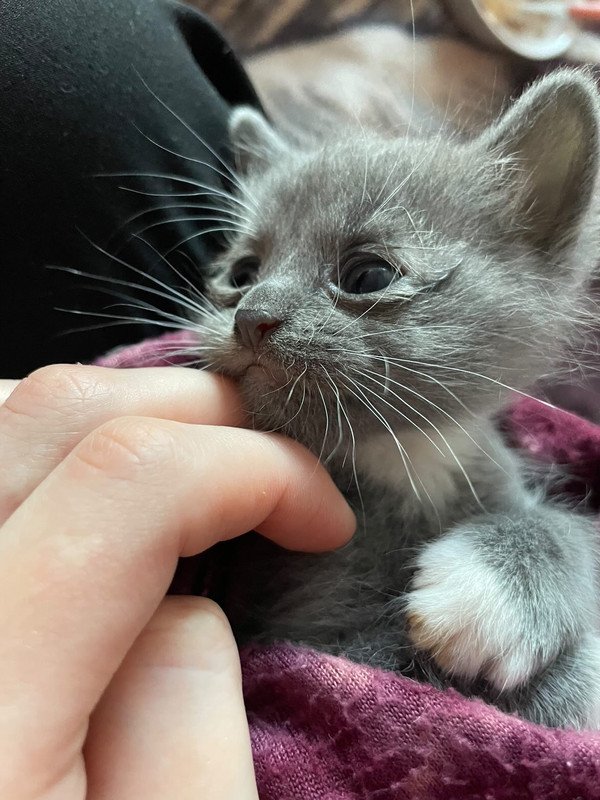 00E5D4F2-C42E-4041-856E-300F345A2A84