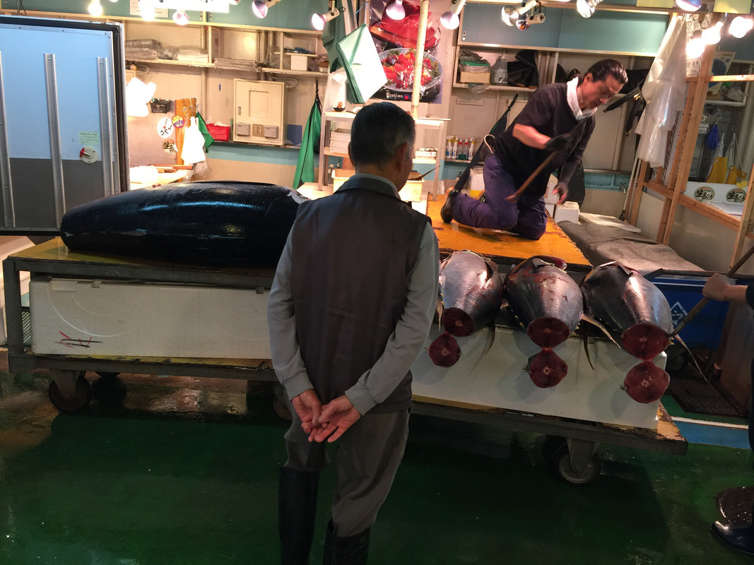 2C046298-DB38-45D6-9E33-F233E9214B4D