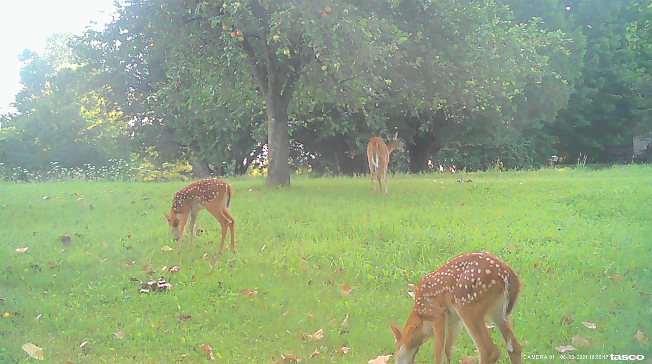 82CCAA0D-B824-4CD4-8C8B-FEE370AB6A49