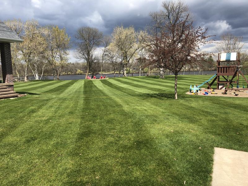 Dthatch or molasses? Lawn Care Forum