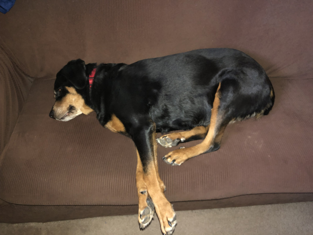 63181CF4-F688-46EB-BAC8-53041B500000