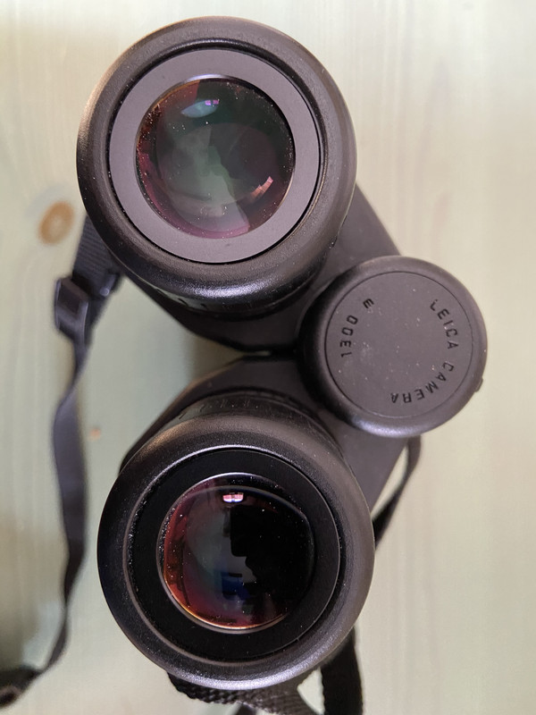 499592B8-ABC3-4CA3-A5B3-6F6D55752083