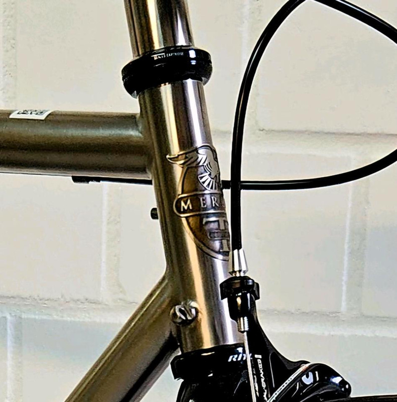 d7bee5aa-f6db-437e-a4df-400d50238bbd (1)