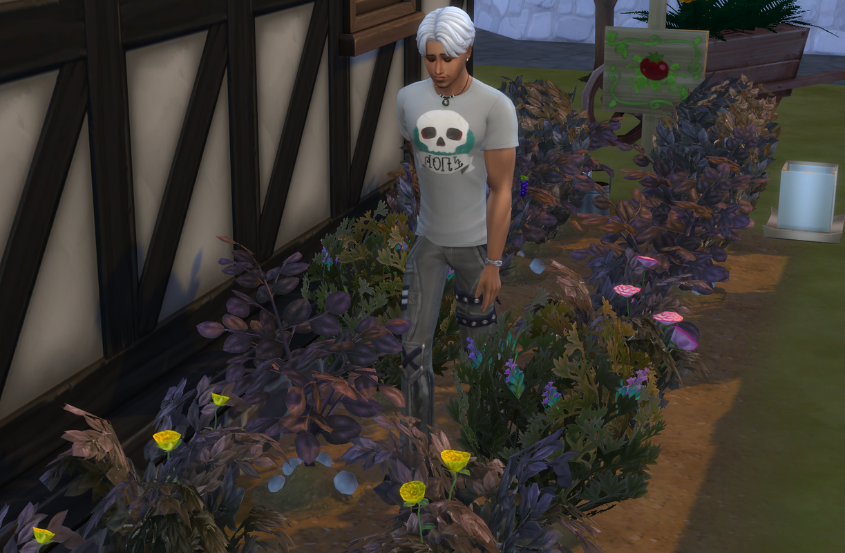 dylan-worked-on-his-garden.png