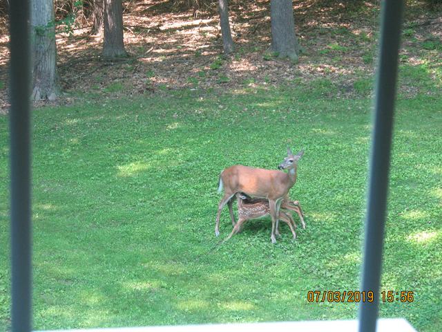 IMG-2197.jpg