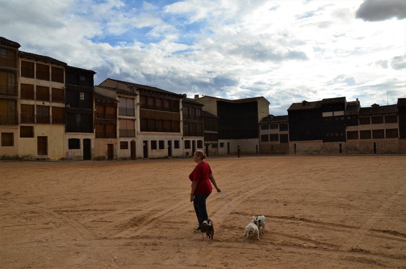 PEÑAFIEL-14-9-2022 - Valladolid y sus pueblos-2012/2016 (78)
