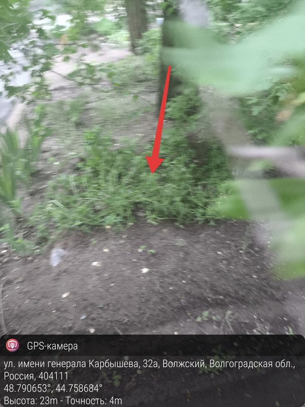 IMG 20260512 044735