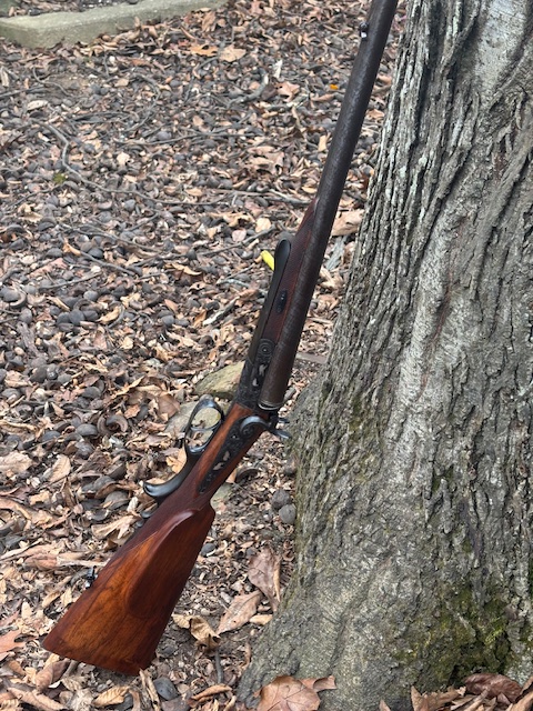 [Linked Image from i.postimg.cc]