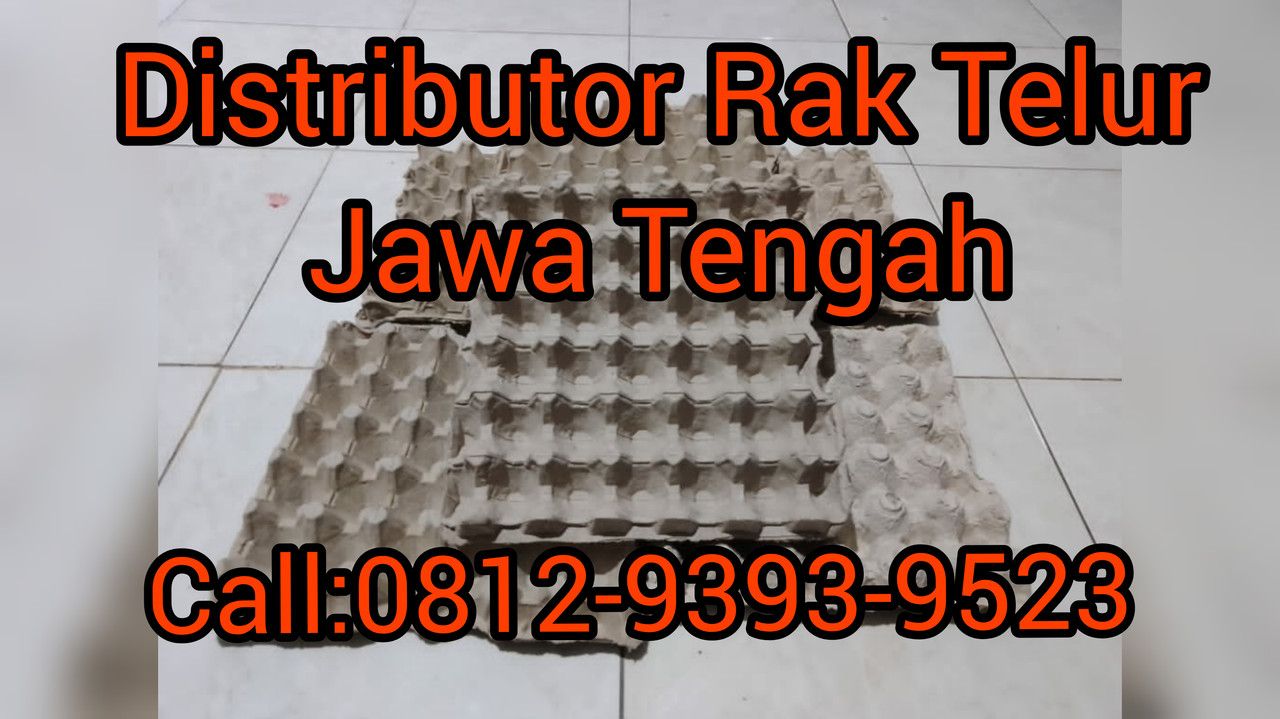 TERMURAH, CALL: 0812-9393-9523,  Ditributor Rak Telur Biak Numfor