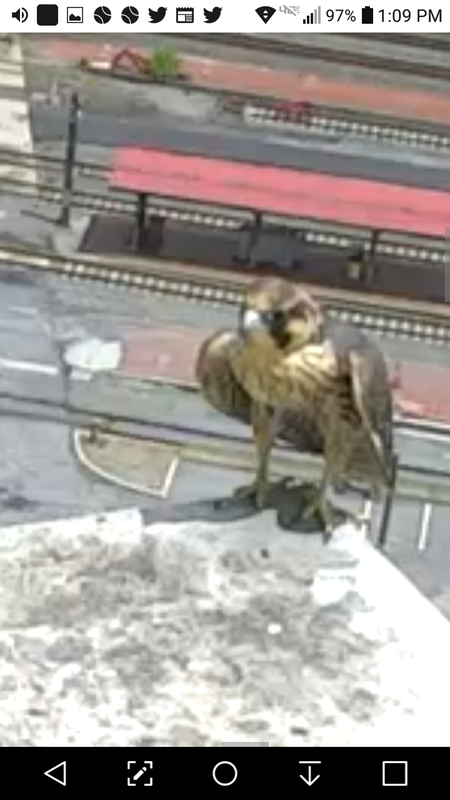 Screenshot_2019-07-07-13-09-19