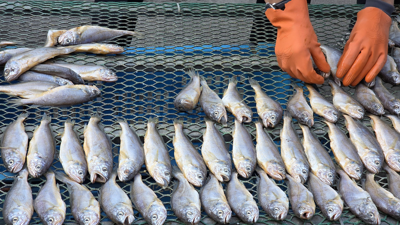 희망호 조업 배경