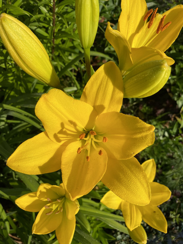 131B681E-B27B-4415-BAAA-28202193C41A