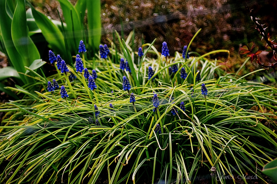 DSC 0501