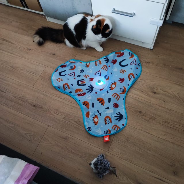 WhatsApp Bild 2025-09-19 um 14.49.24_af37dca9