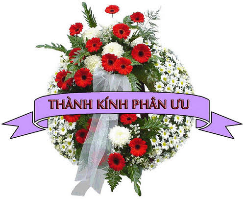 [Image: thanhkinhphanuu.png]