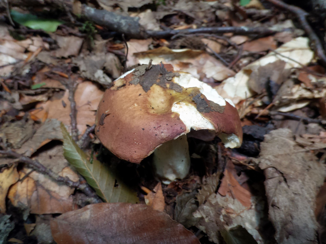 359689077-1005290503937366-2972626042325