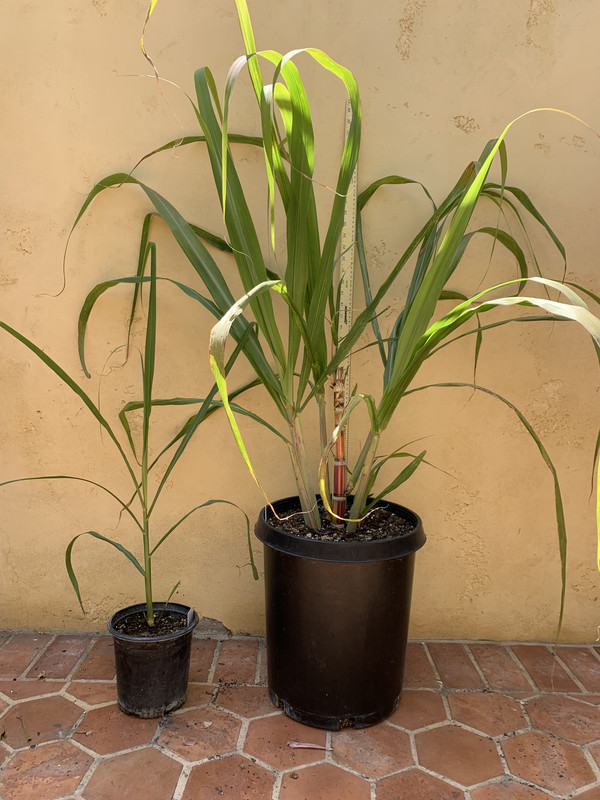 A55BC217-6BFA-4FE5-8F83-FDA7BF961EB2