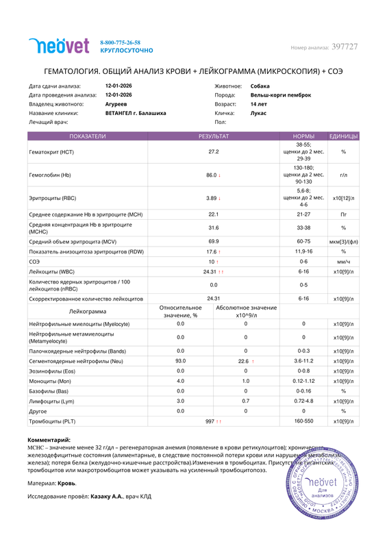 result 4