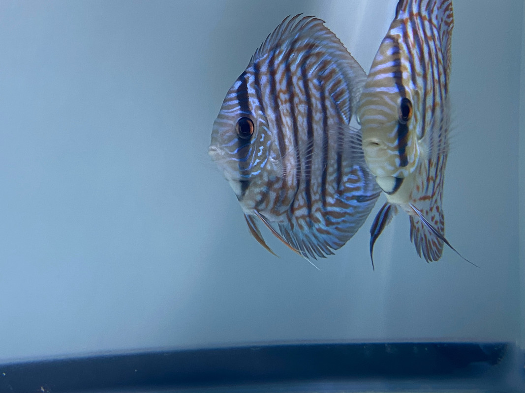 722478E5-BB9A-4A82-A659-90C55D91B3CE