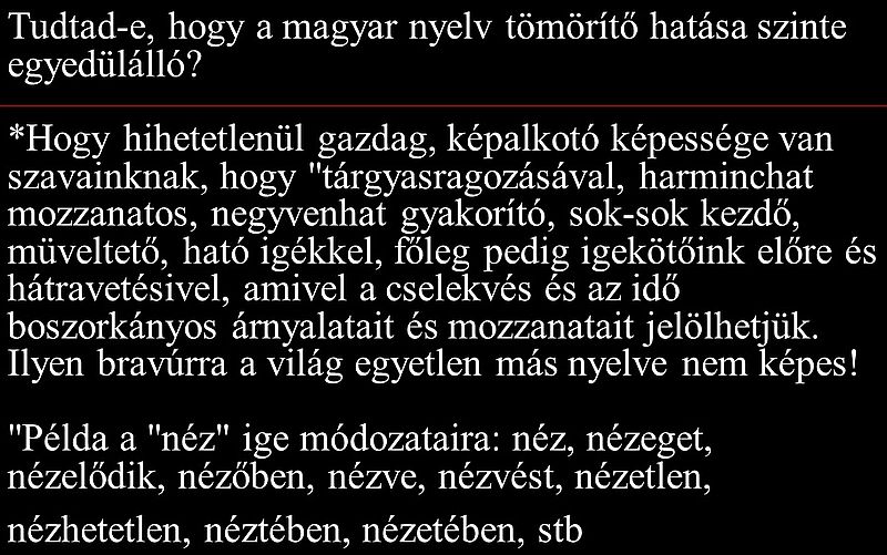 https://i.postimg.cc/mgVG356s/magyar-nyelvrol-16.jpg