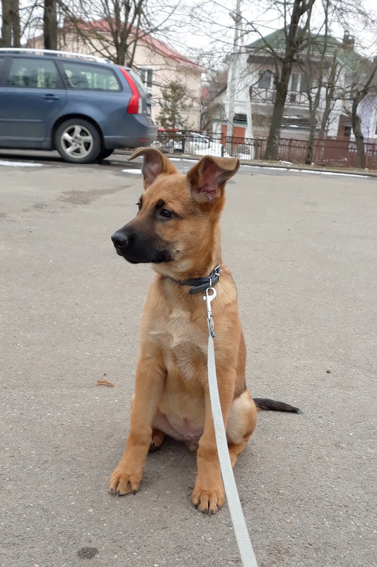 20190303_143847_007 ( изм ) 222222222