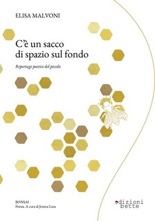 Elisa Malvoni - C’è un sacco di spazio sul fondo. Reportage poetico del piccolo (2023)