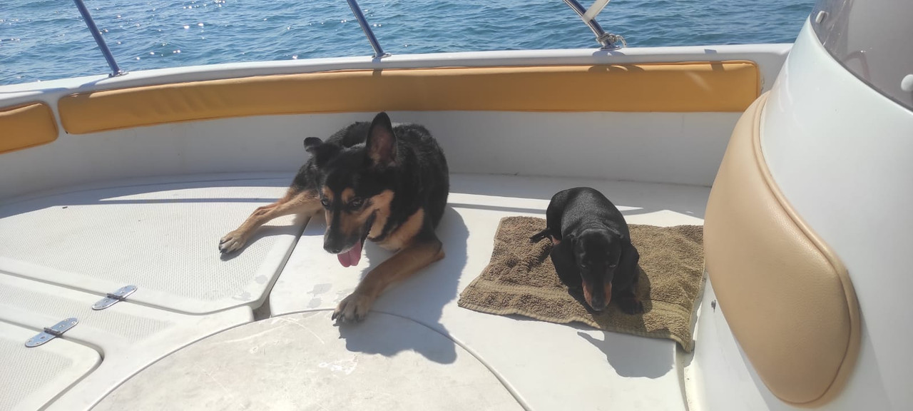 [Image: IMG-20230630-WA0008.jpg]