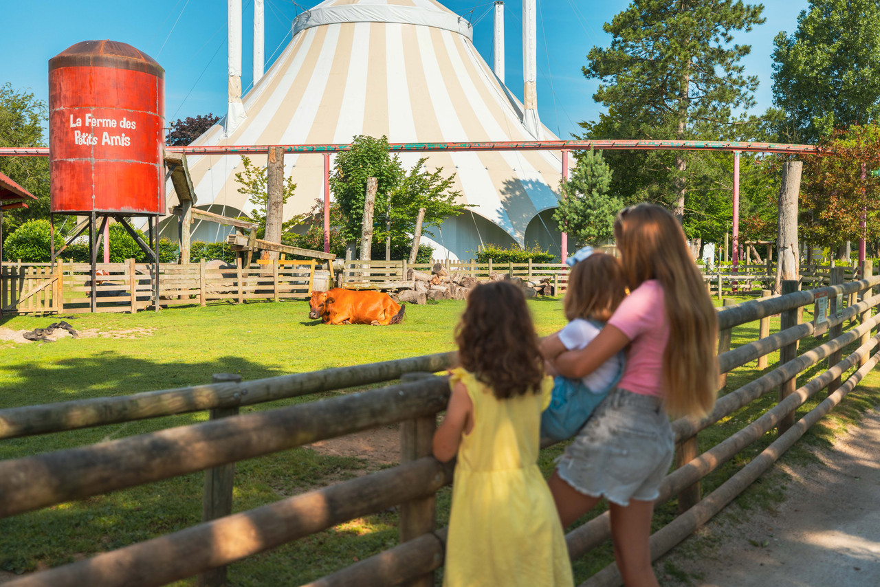 BAGATELLE 2025 Elisa Marq Photography 8