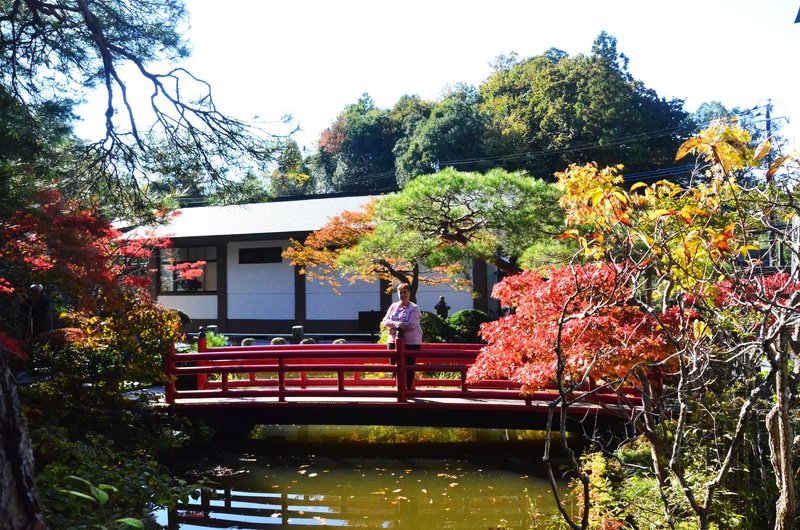 Japón y sus Pueblos-2024 - Blogs de Japon - Heiwa Kannon y Templo Ooyaji-13-11-2024 (45)