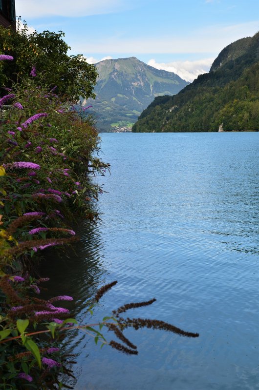 BRIENZ E ISELTWALD-9-9-2019 - Suiza y sus pueblos-2019 (57)
