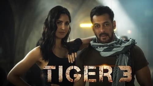 Tiger 3 (2023)