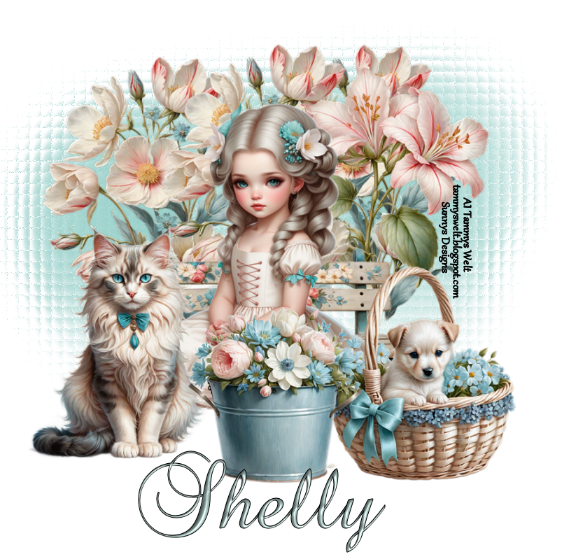 shelly78
