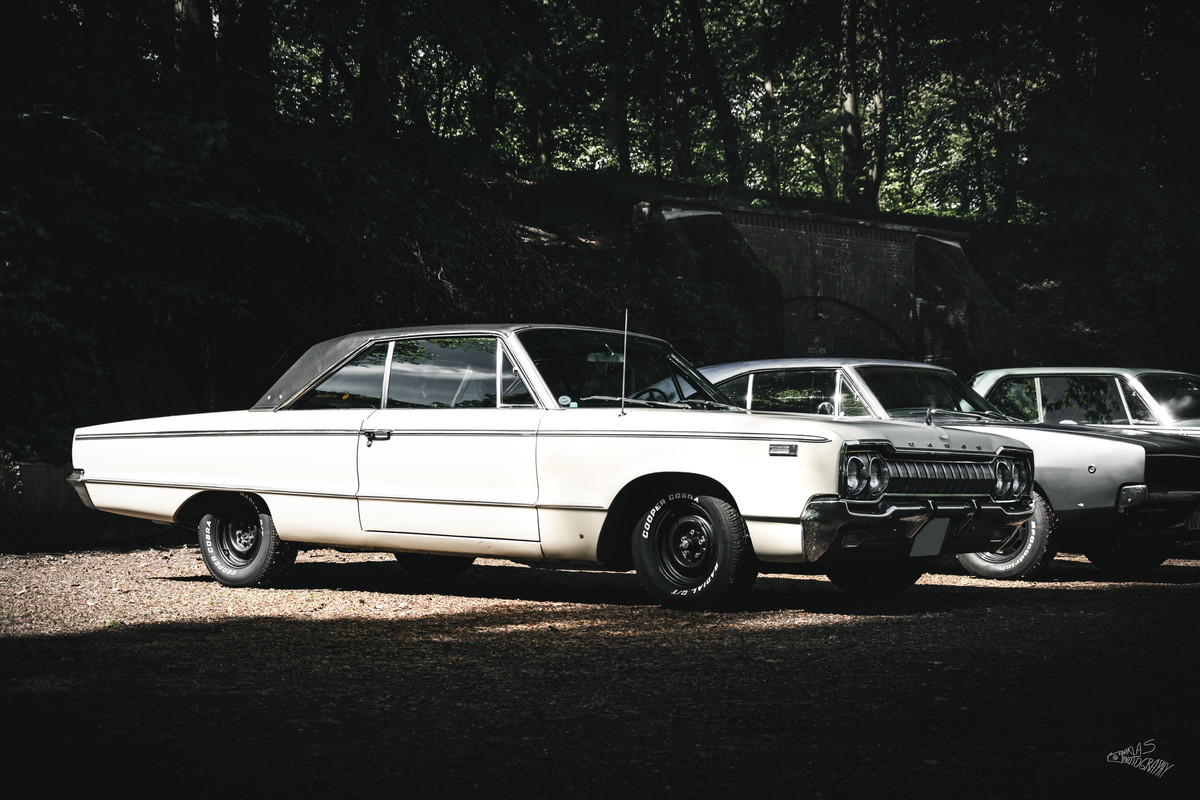 DSC_1019 1965 Dodge Custom 880